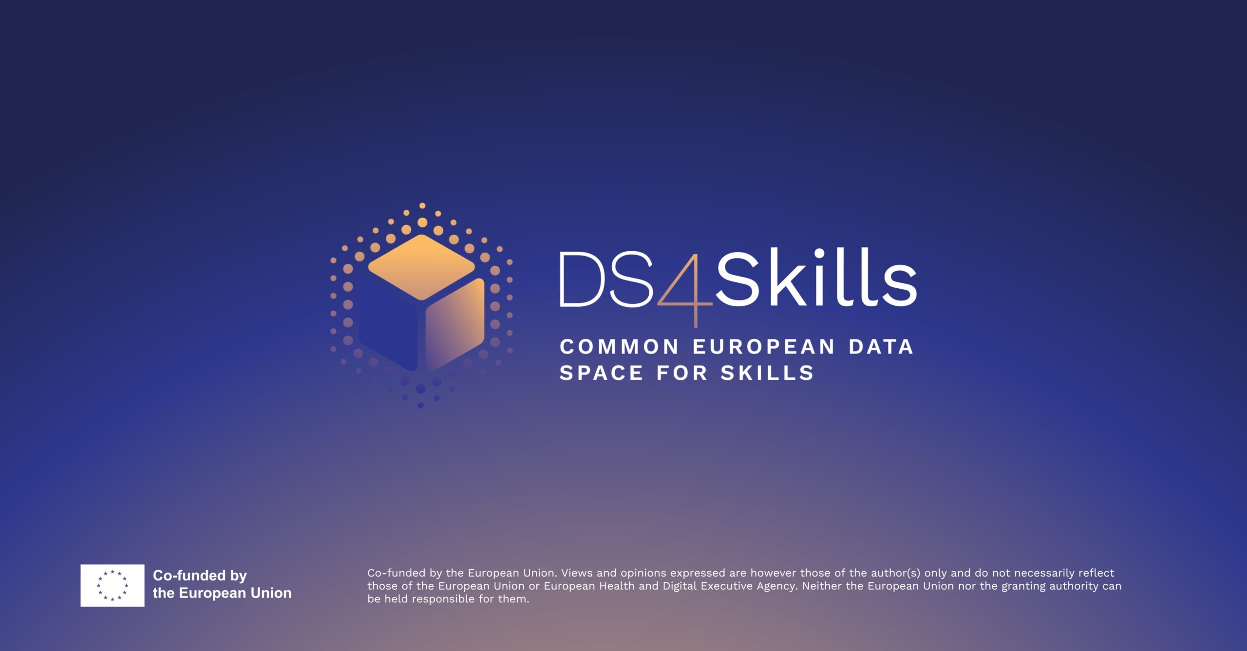 Ds4Skills logo